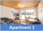 Apartment 3